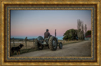 The old tractor at Bald Blair